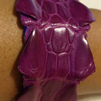 Jurassic Bracelet #1